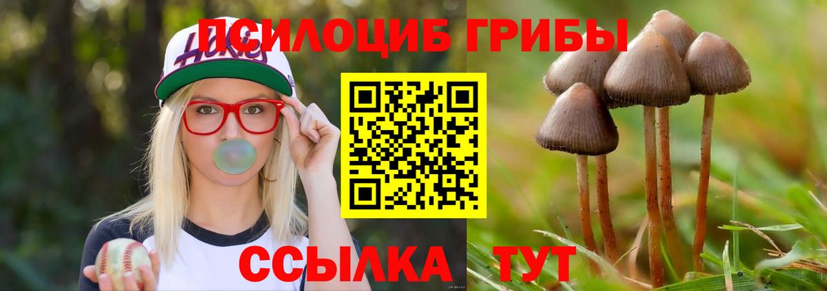 Галлюциногенные грибы ЛСД Россошь